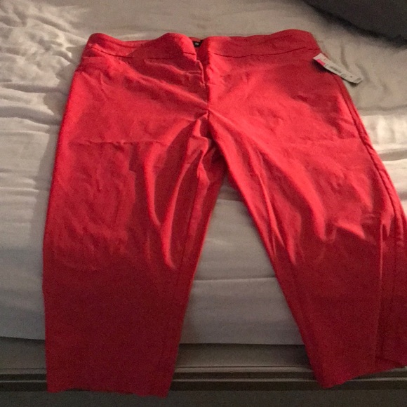 BRAND NEW ORANGE DRESS CAPRI PANTS - Picture 1 of 1